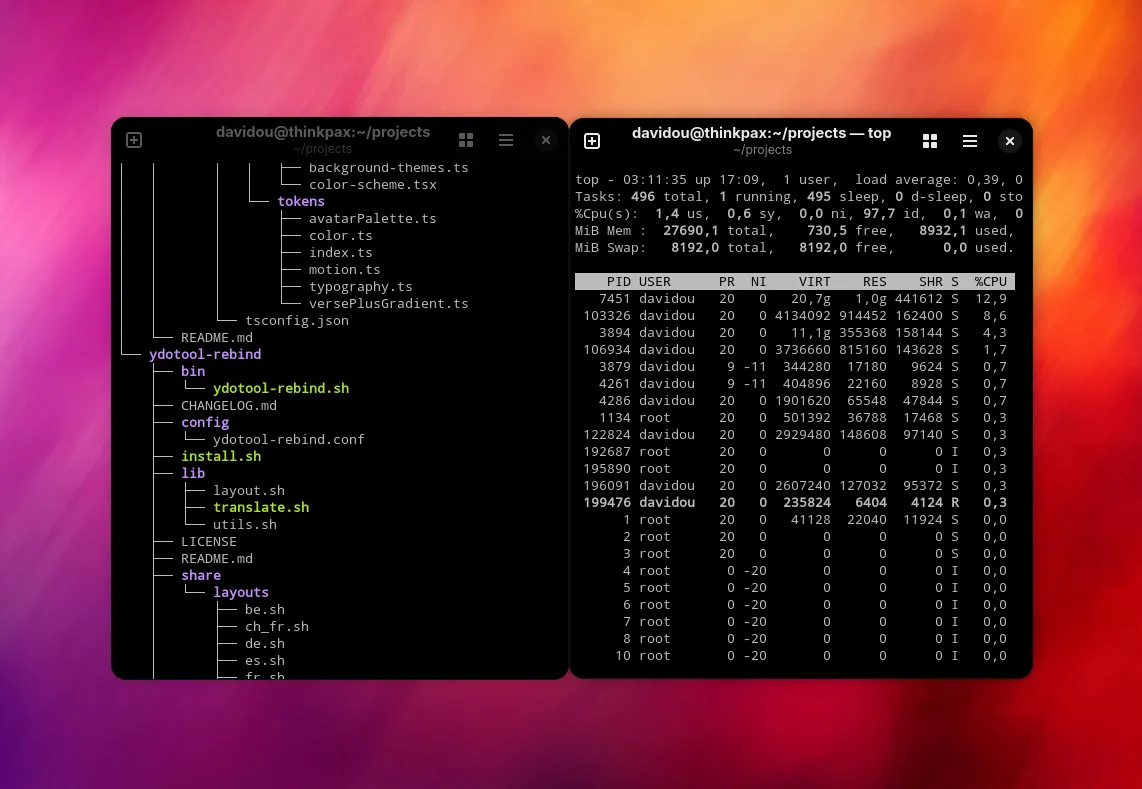 Ydotool Rebind : Linux terminal executing ydotool subrutine.